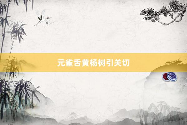 元雀舌黄杨树引关切