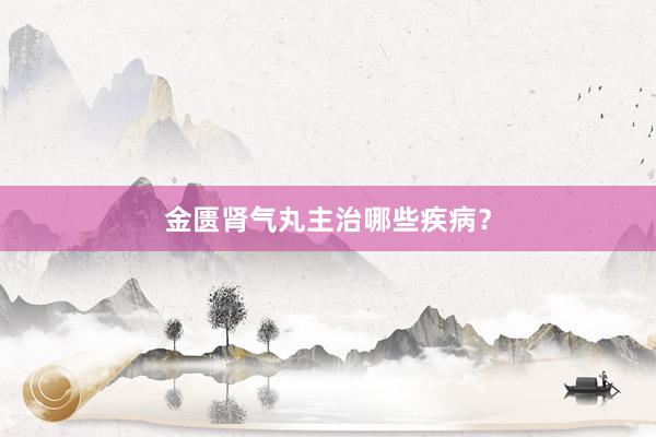 金匮肾气丸主治哪些疾病？