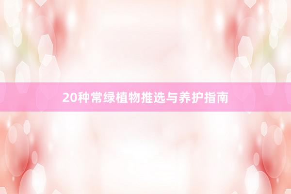 20种常绿植物推选与养护指南