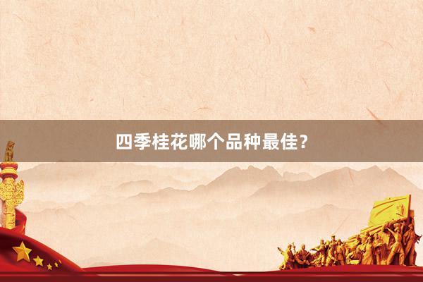 四季桂花哪个品种最佳？