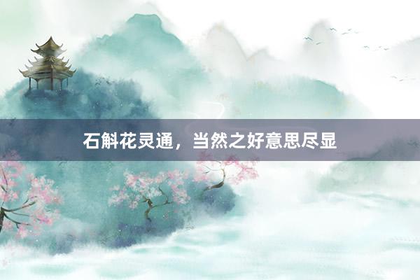 石斛花灵通，当然之好意思尽显